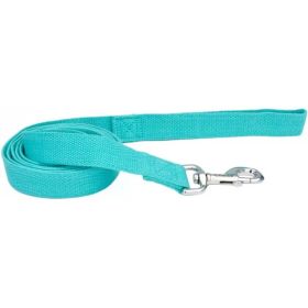 Coastal Pet New Earth Soy Dog Lead Mint Green - 6 feet x 1"W